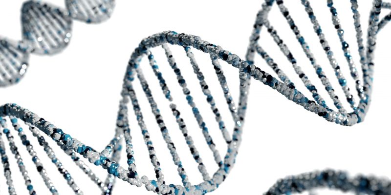 a nutrigenomica nella nutrizione funzionale e nei percorsi anti-aging