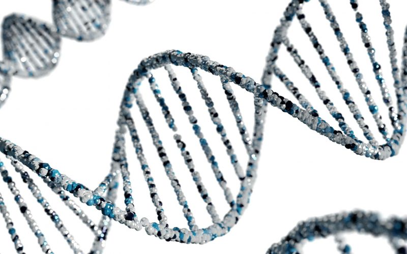 a nutrigenomica nella nutrizione funzionale e nei percorsi anti-aging